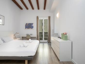 Modern and Spacious Flat /Paseo de Gracia - Apartamento en Barcelona